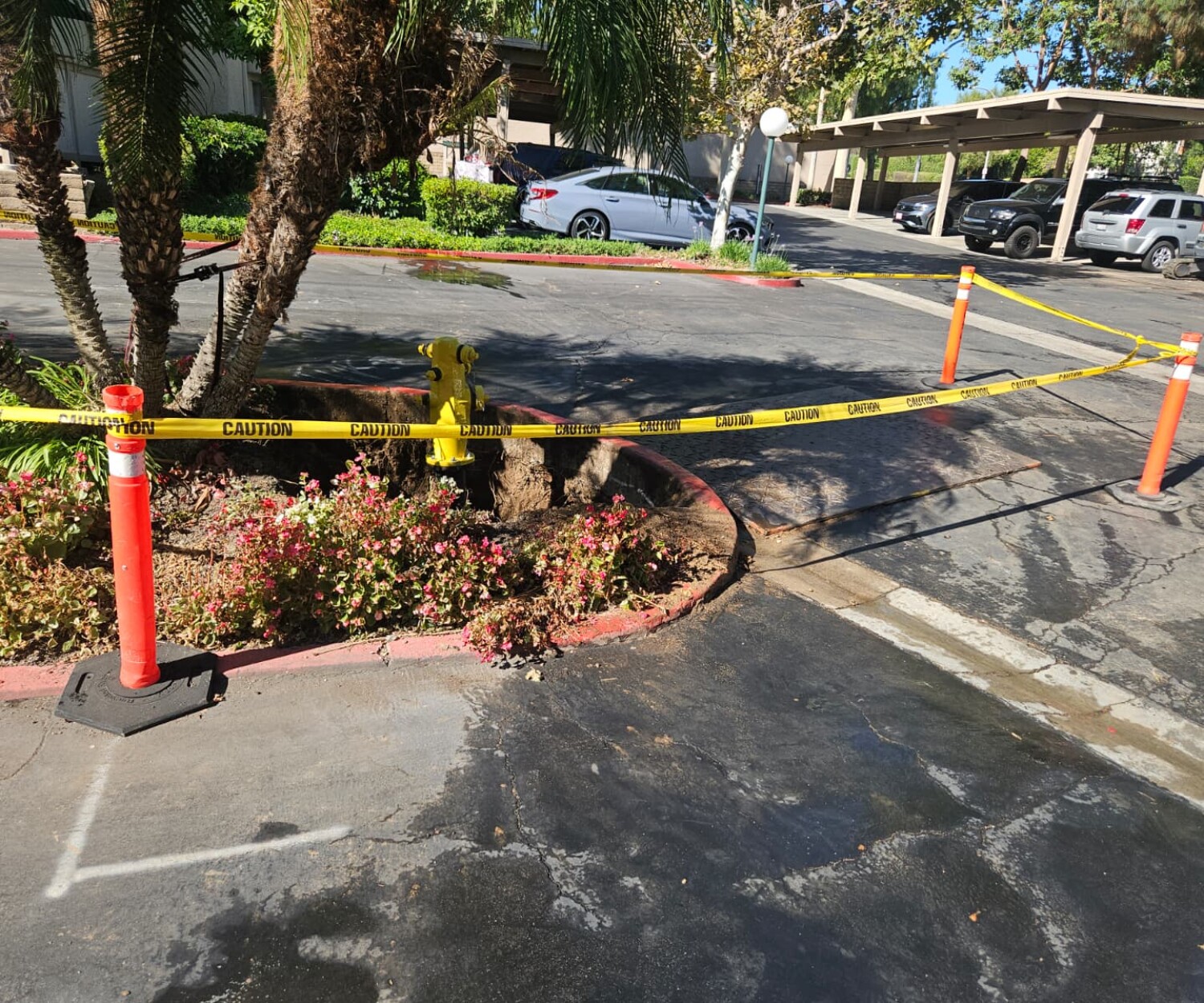 Orange County Fire Hydrant Replacement